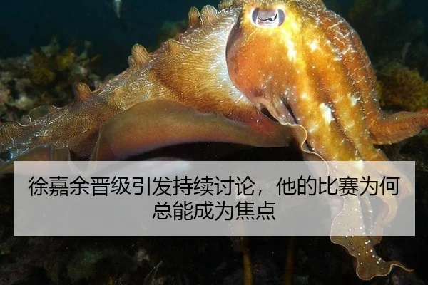 徐嘉余晋级引发持续讨论，他的比赛为何总能成为焦点